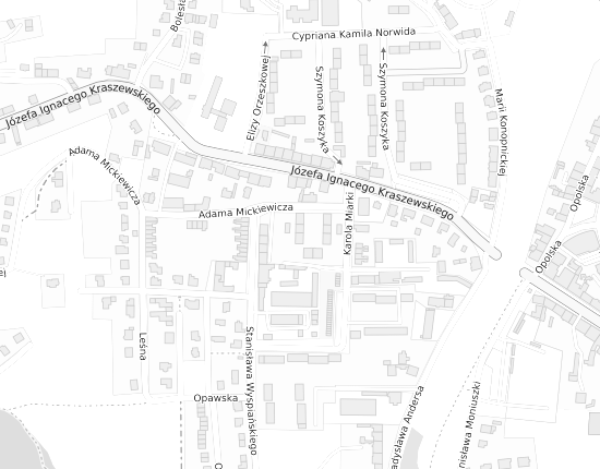 Mapa z adresem organizacji