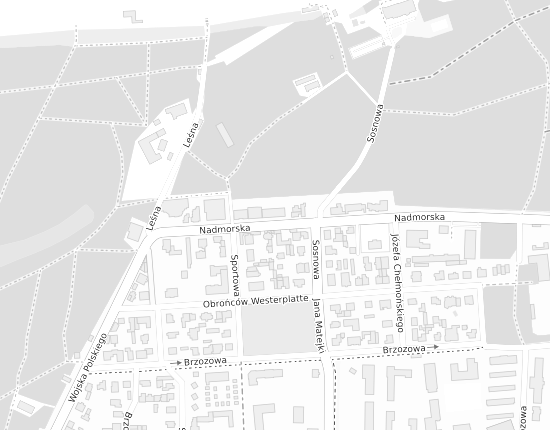 Mapa z adresem organizacji