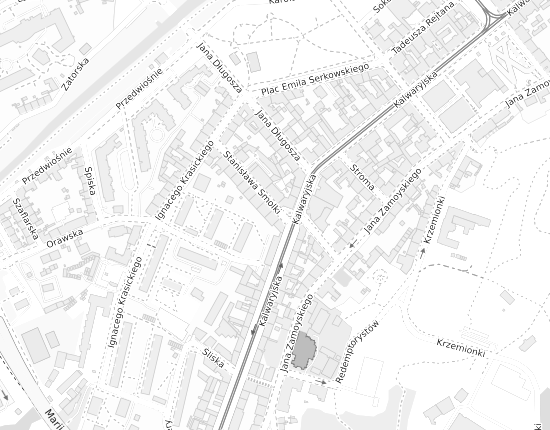 Mapa z adresem organizacji