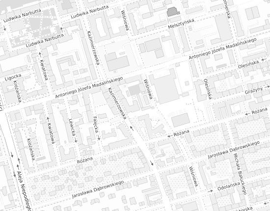 Mapa z adresem organizacji