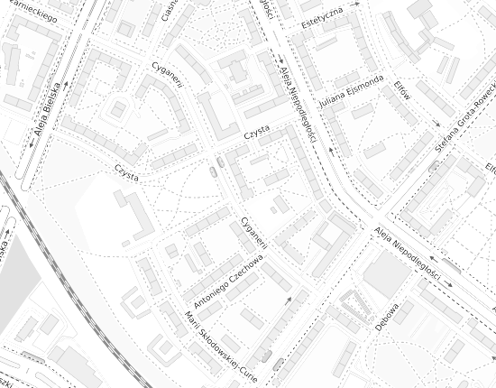 Mapa z adresem organizacji