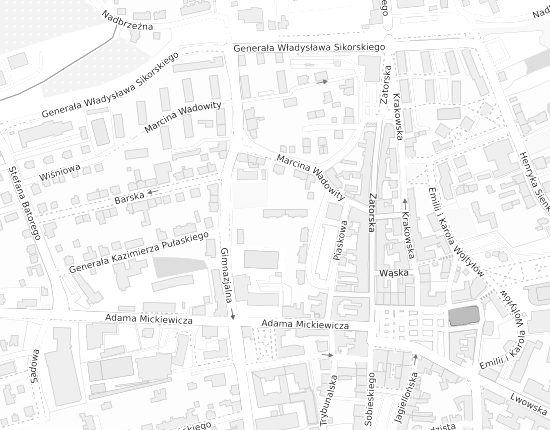 Mapa z adresem organizacji