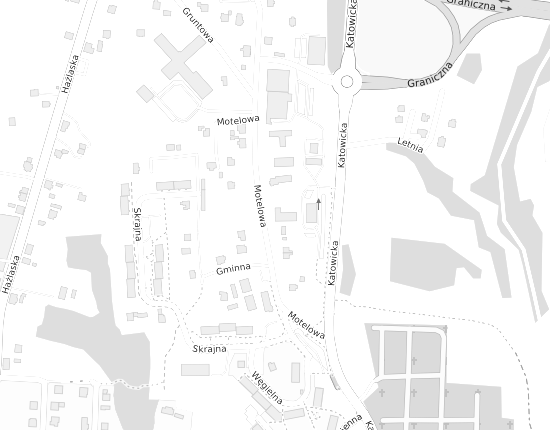 Mapa z adresem organizacji