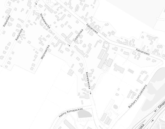 Mapa z adresem organizacji