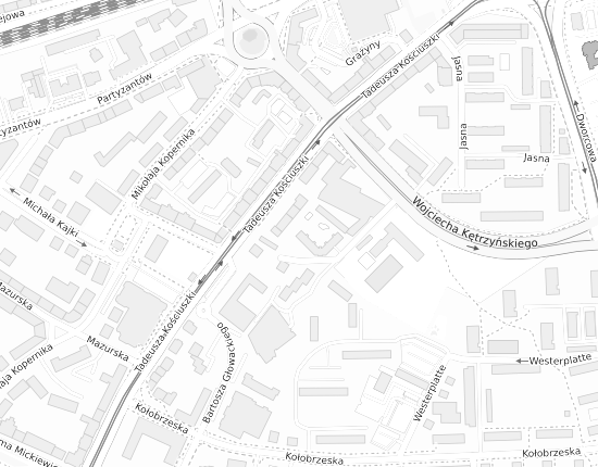 Mapa z adresem organizacji