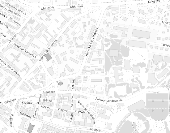 Mapa z adresem organizacji