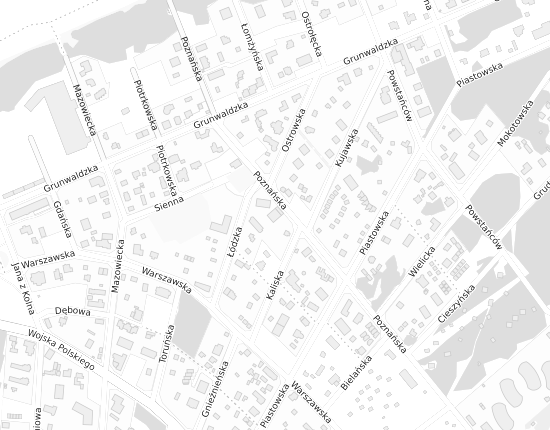 Mapa z adresem organizacji