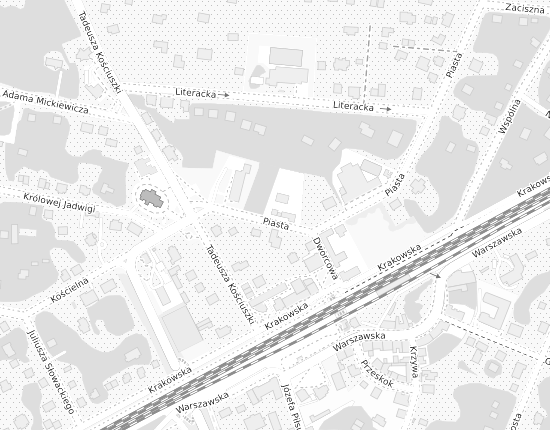 Mapa z adresem organizacji