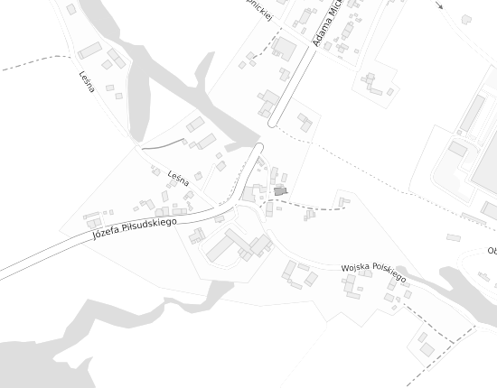 Mapa z adresem organizacji