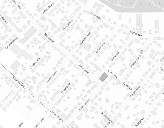 Mapa z adresem organizacji