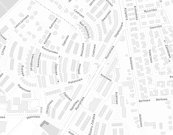 Mapa z adresem organizacji