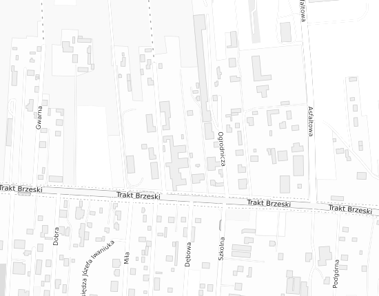 Mapa z adresem organizacji