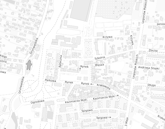 Mapa z adresem organizacji
