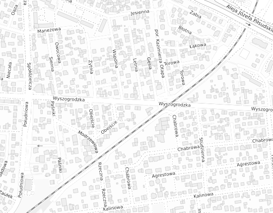 Mapa z adresem organizacji