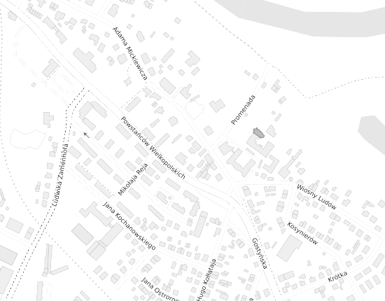Mapa z adresem organizacji