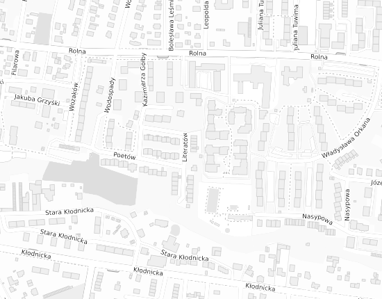 Mapa z adresem organizacji