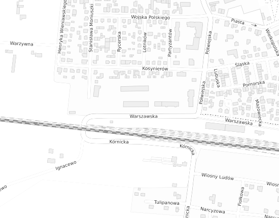 Mapa z adresem organizacji