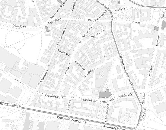 Mapa z adresem organizacji