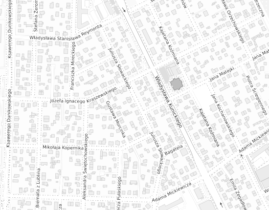 Mapa z adresem organizacji
