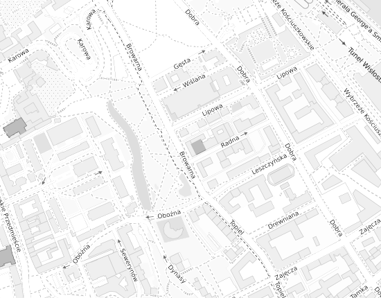 Mapa z adresem organizacji