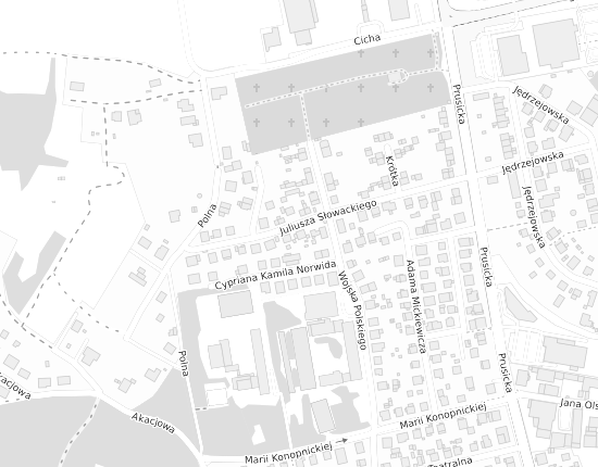 Mapa z adresem organizacji