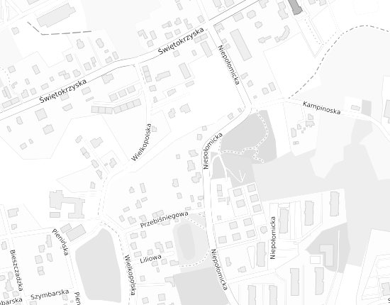 Mapa z adresem organizacji