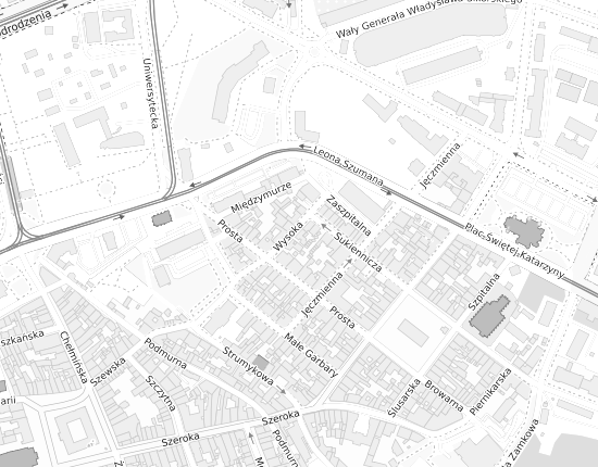 Mapa z adresem organizacji