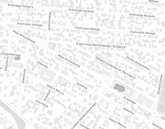Mapa z adresem organizacji