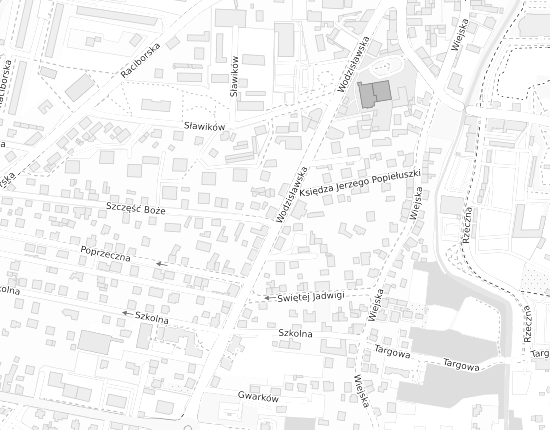 Mapa z adresem organizacji