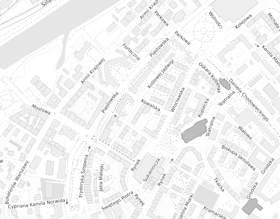 Mapa z adresem organizacji