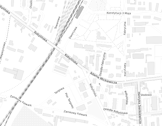 Mapa z adresem organizacji