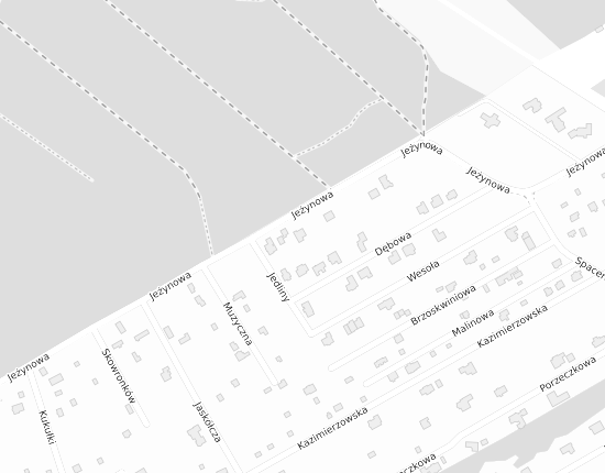 Mapa z adresem organizacji