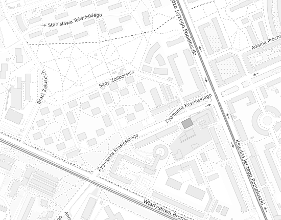 Mapa z adresem organizacji