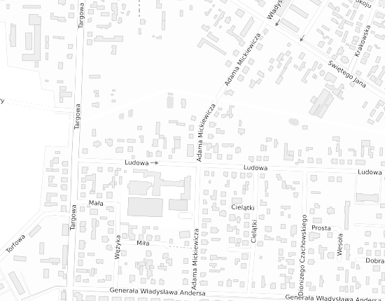 Mapa z adresem organizacji