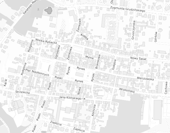 Mapa z adresem organizacji