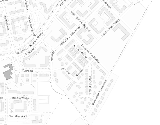 Mapa z adresem organizacji