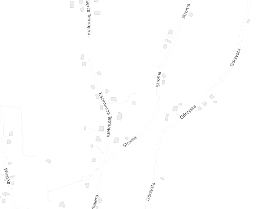 Mapa z adresem organizacji