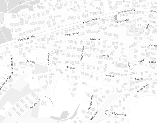 Mapa z adresem organizacji