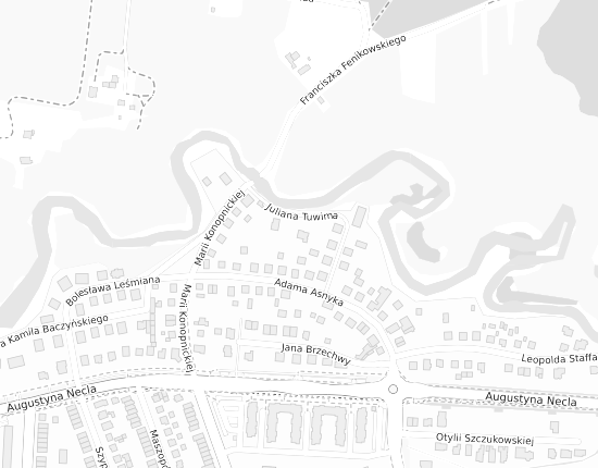 Mapa z adresem organizacji