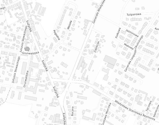 Mapa z adresem organizacji