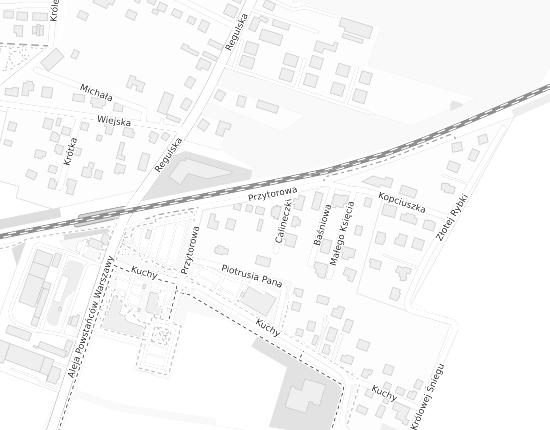 Mapa z adresem organizacji