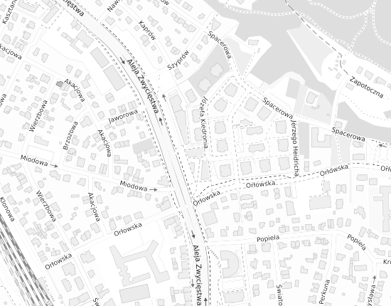 Mapa z adresem organizacji