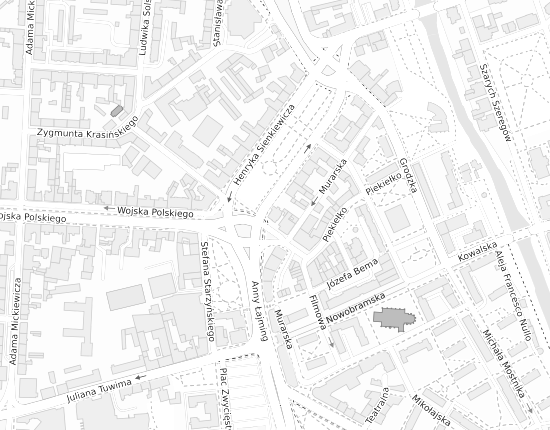 Mapa z adresem organizacji