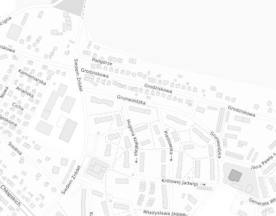 Mapa z adresem organizacji