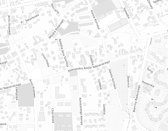 Mapa z adresem organizacji