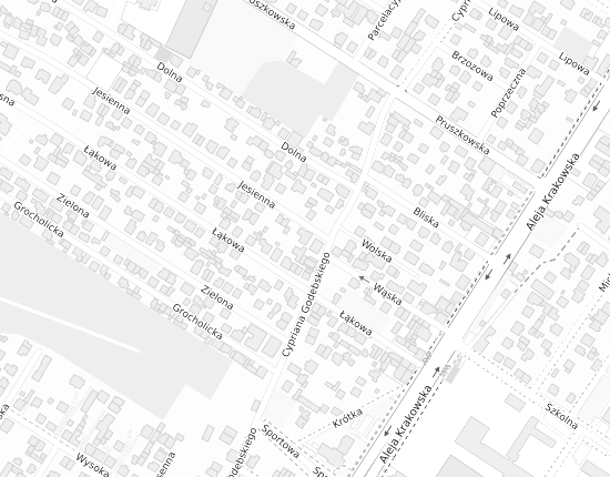 Mapa z adresem organizacji