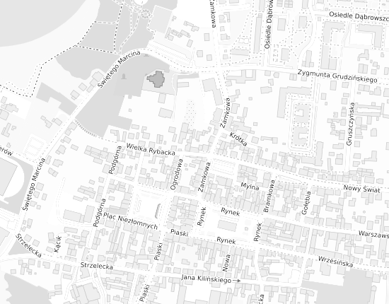 Mapa z adresem organizacji