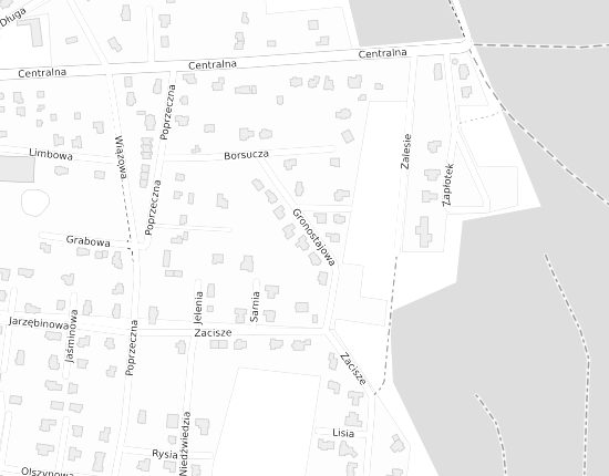 Mapa z adresem organizacji