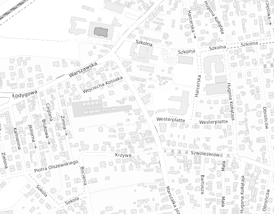 Mapa z adresem organizacji
