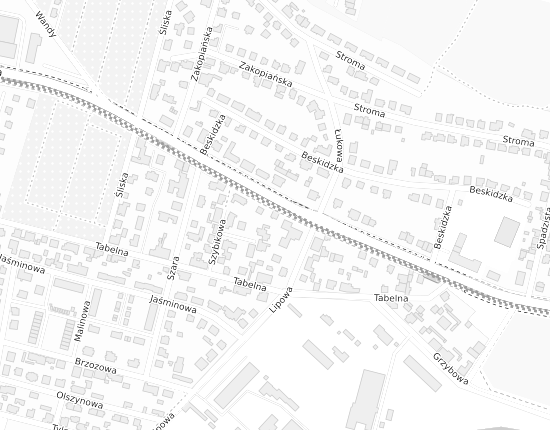 Mapa z adresem organizacji